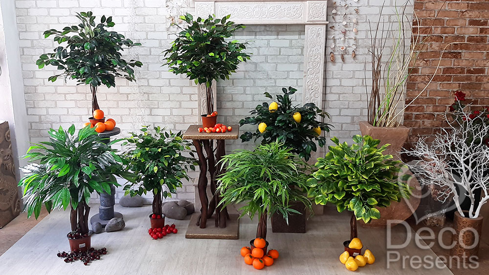 Купить декоративные фруктовые деревья в Украине