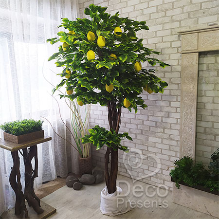 Купить дерево лимонное в Украине, Киев, Днепр, Харьков
