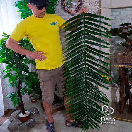 Купить листья пальмовые оптом в Украине, Николаев, Кировоград, Киев
