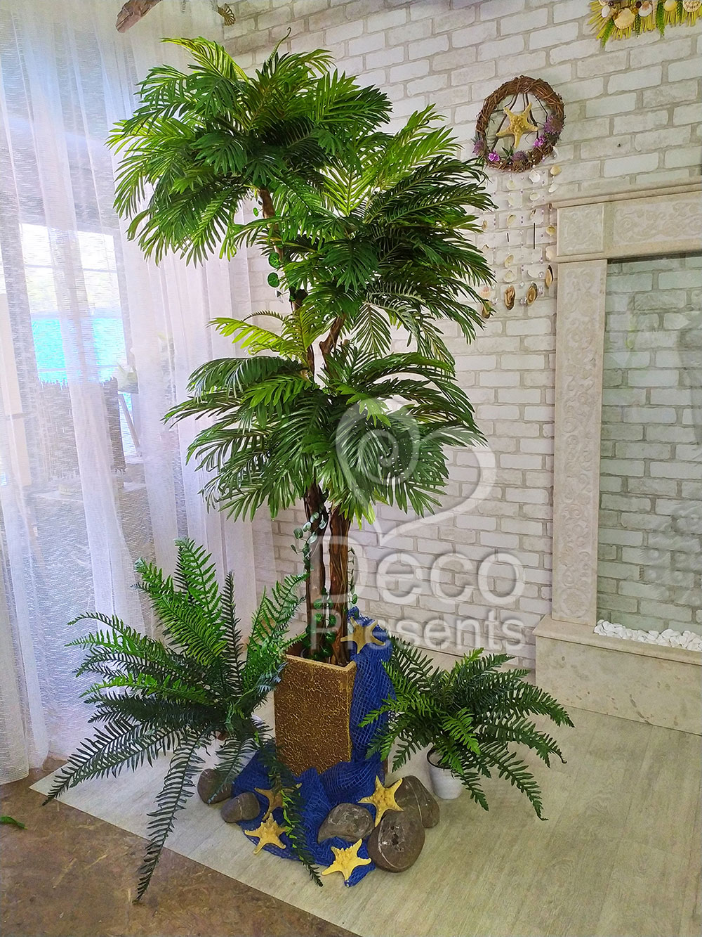 Купить декоративные Пальмы, Днепр,  Чернигов, Одесса
