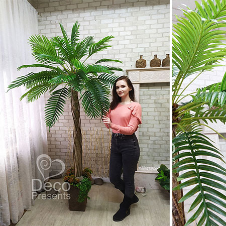 Купить искусственную пальму в Украине, Киев, Сумы, Одесса