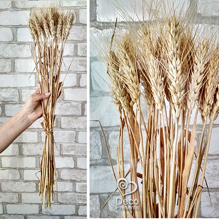 Купить Колоски (рожь, пшеница) оптом в Украине, Днепр, Киев