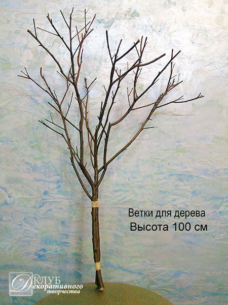 Купить Ветки для свадебного дерева в Украине, Киев, Днепр, Львов