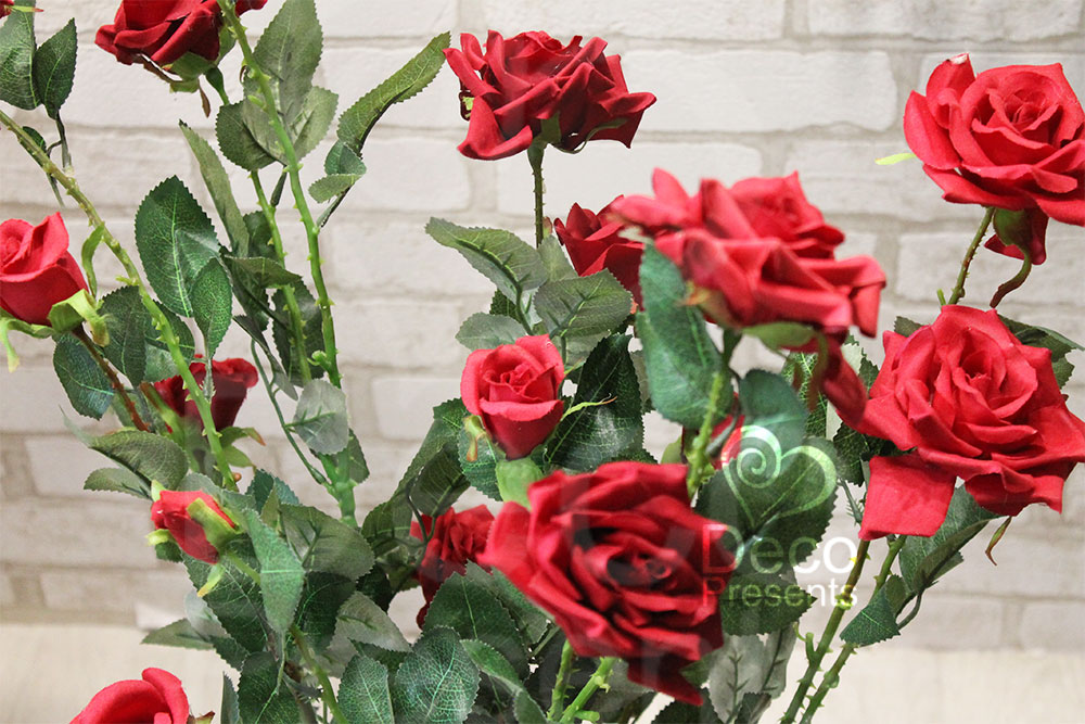 Купить Розы декоративные растения, Днепр, Львов, Сумы