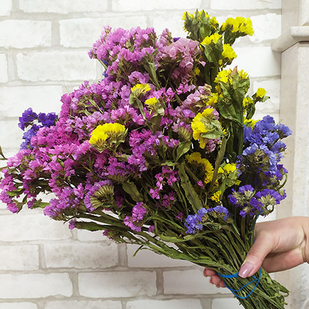 Купить сухоцветы оптом  в Украине, Киев, Одесса, Харьков